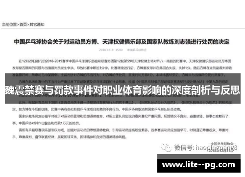 魏震禁赛与罚款事件对职业体育影响的深度剖析与反思